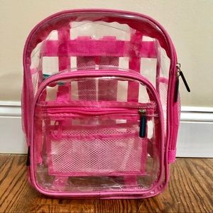 Pink Transparent Bag